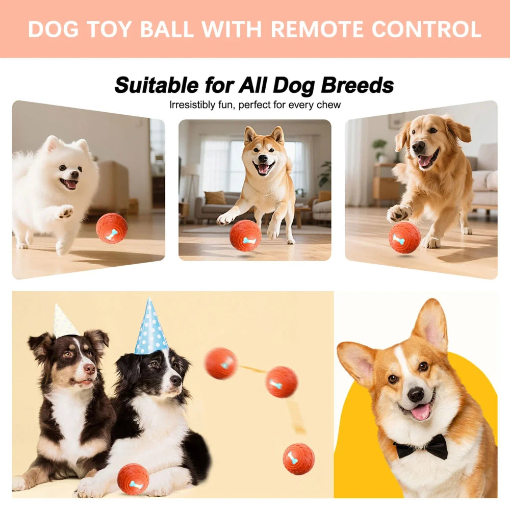 ChaseBuddy™ Smart Pet Ball