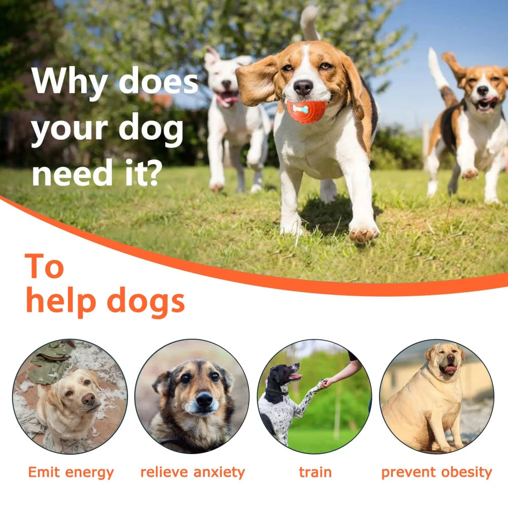 New Smart Pet Recharge Play Ball
