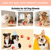 New Smart Pet Recharge Play Ball