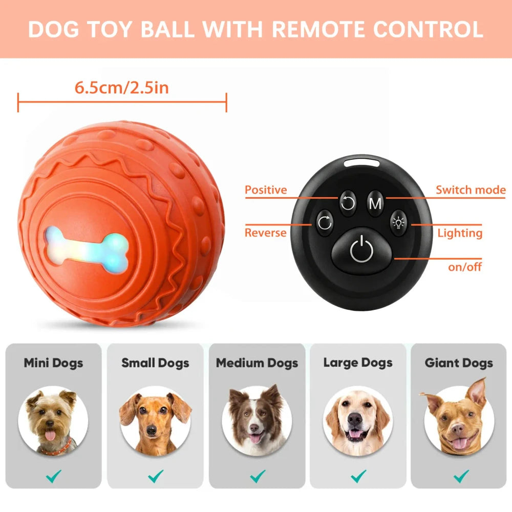 New Smart Pet Recharge Play Ball