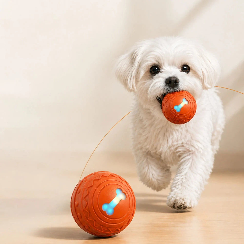 New Smart Pet Recharge Play Ball